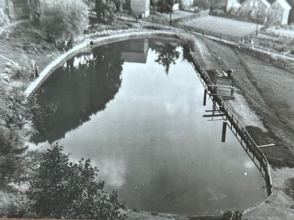 Historische Aufnahme: Teich mit hölzernem Steg und Geländer, von einer Anhöhe aus gesehen
