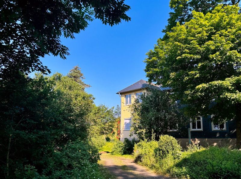Gelb verputztes Wohnhaus zwischen hohen Bäumen am Ende eines Feldwegs