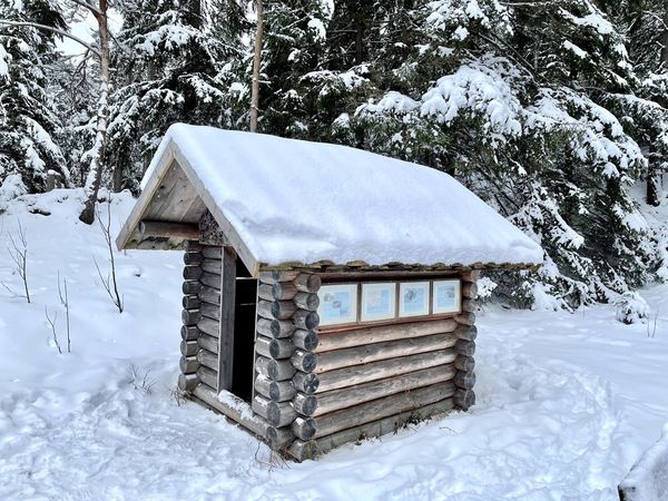 Verschneite Blockhütte im tief verschneiten Fichtenwald