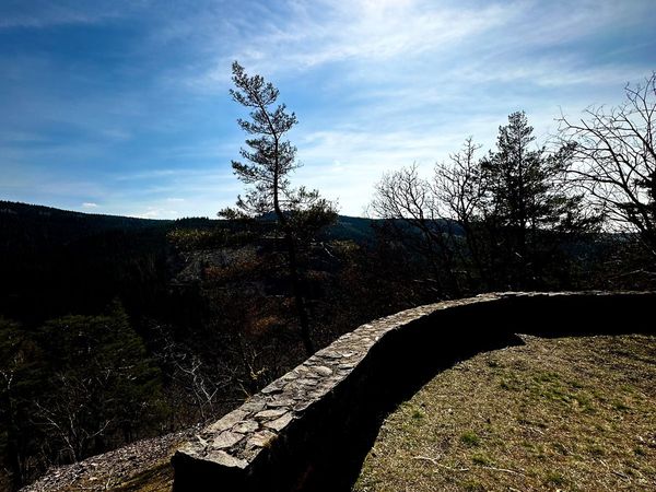 Steinmauer an einem Aussichtspunkt, Sonne am blauen Himmel über Kiefern