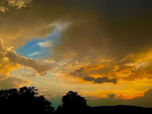 Abendhimmel mit golden leuchtenden Wolken über dunklen Baumsilhouetten