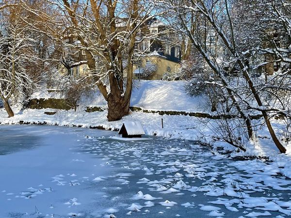 Zugefrorener, leicht verschneiter Teich zwischen Bäumen, dahinter ein Haus