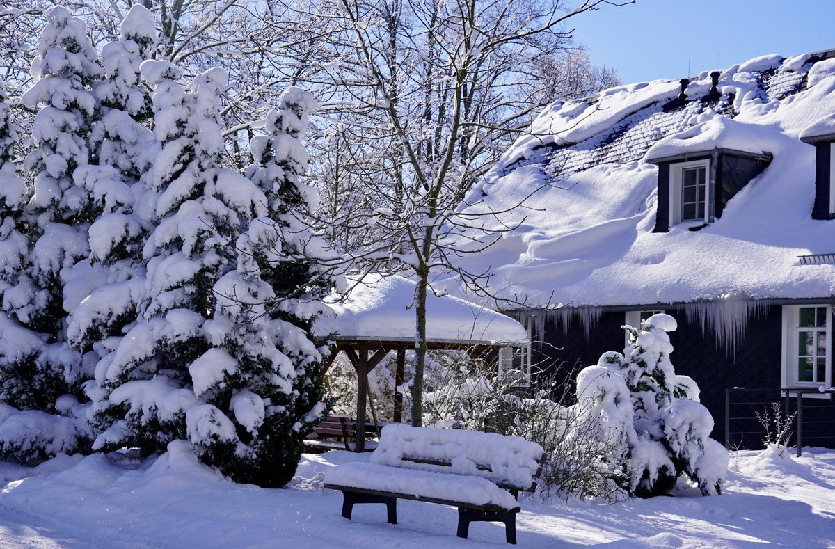 Birkenhaus im Winter