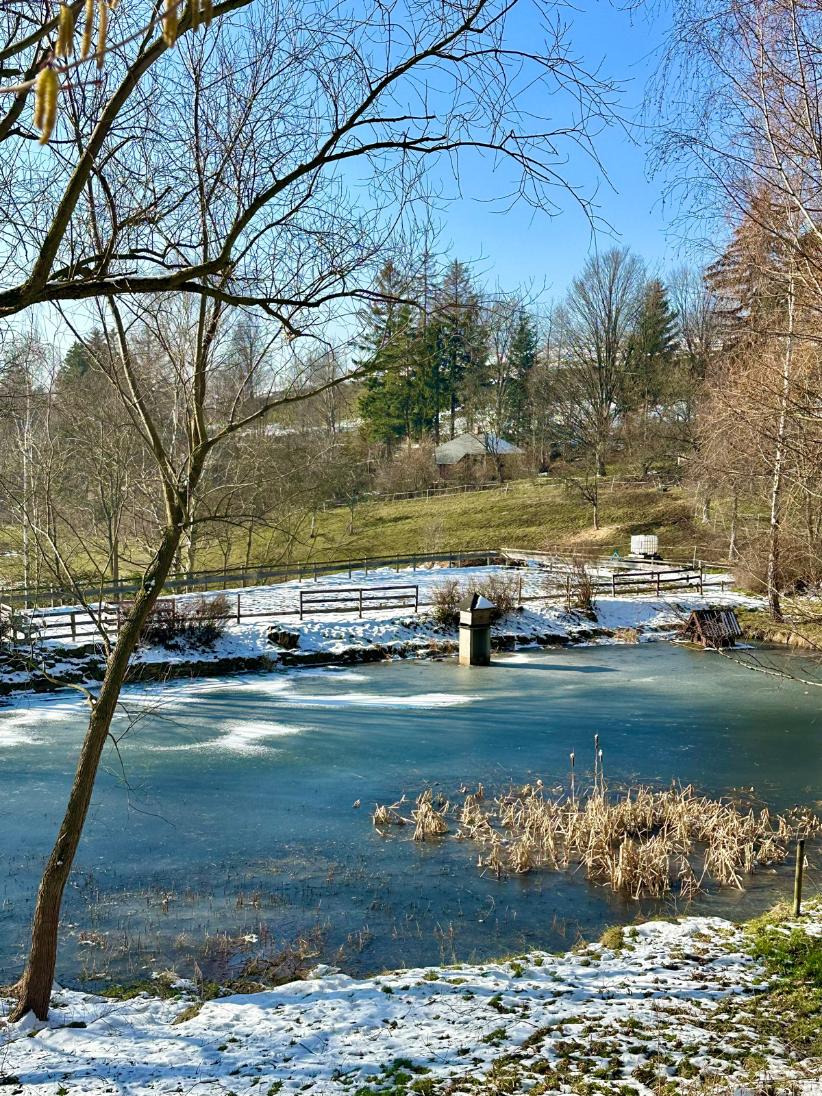 Wickersdorf und Umgebung
