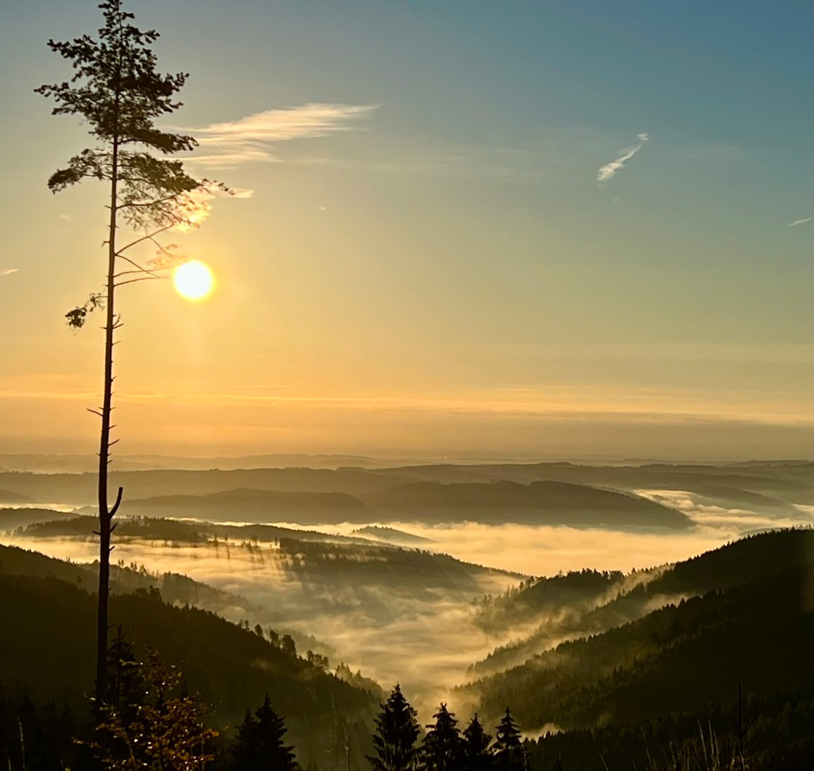 Wickersdorf und Umgebung